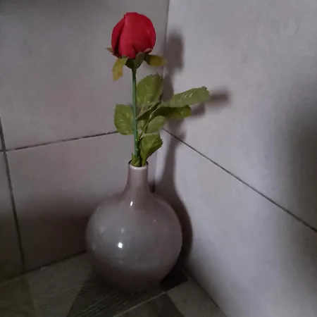 Σπίτι διακοπών Kamila With Pool *